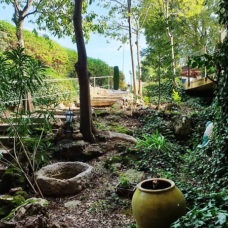 Pago De Tharsys-2